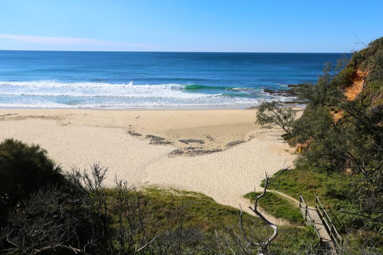 Transport Licence Training in Mid-North Coast Australia